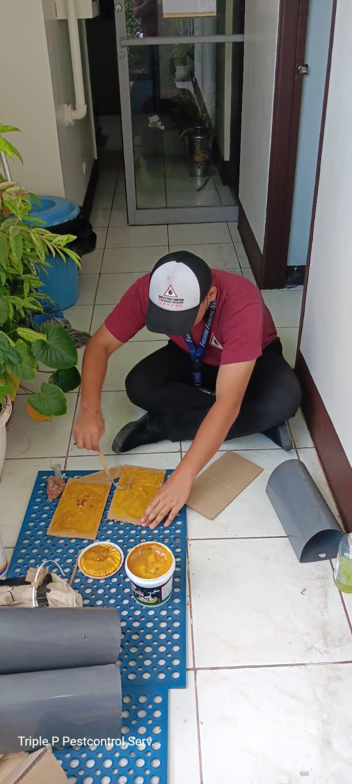 Rodent Control