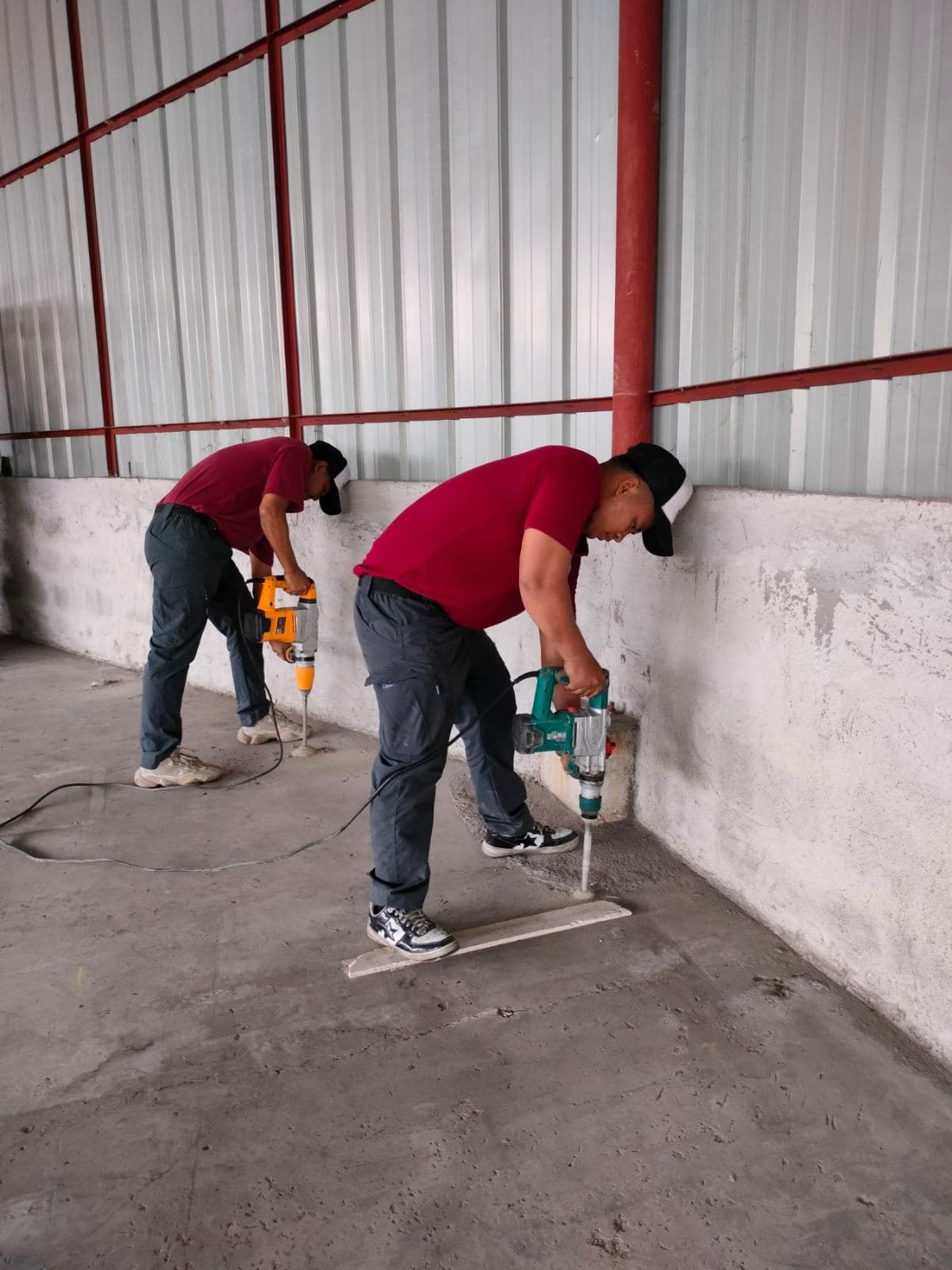 Termite Control